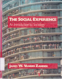 Image of The Social Experience. An Introduction to Sociology